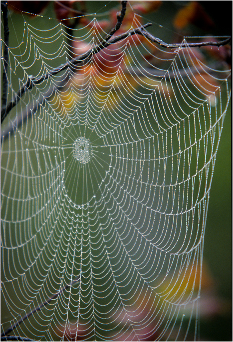 Coping with Setbacks & Disappointment