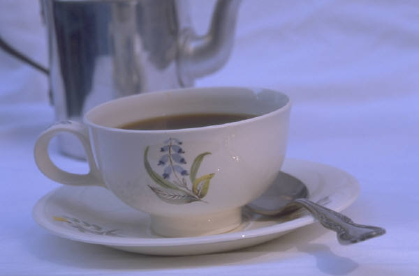 The Wisdom of Questioning