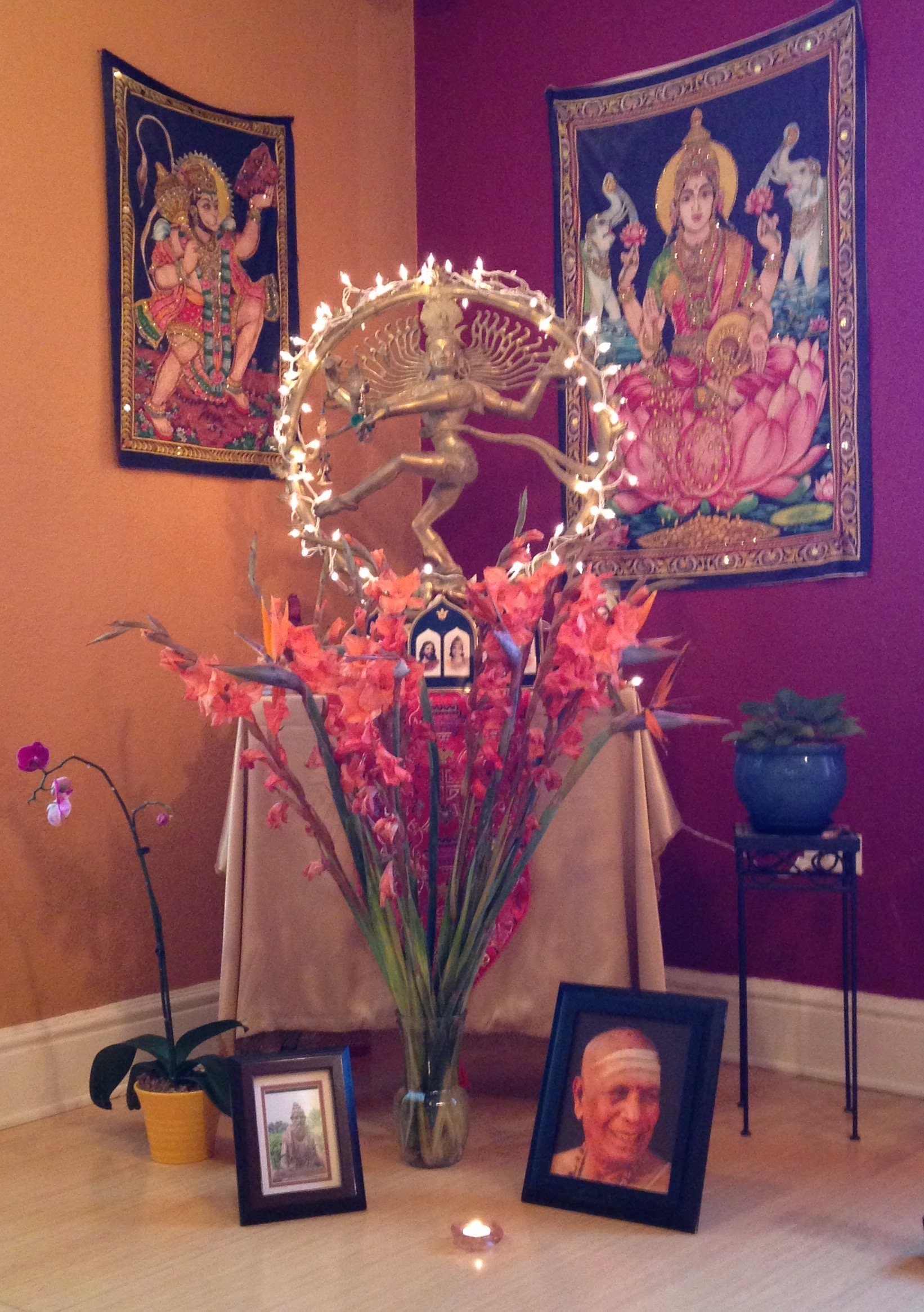 Between Wisdom & Love