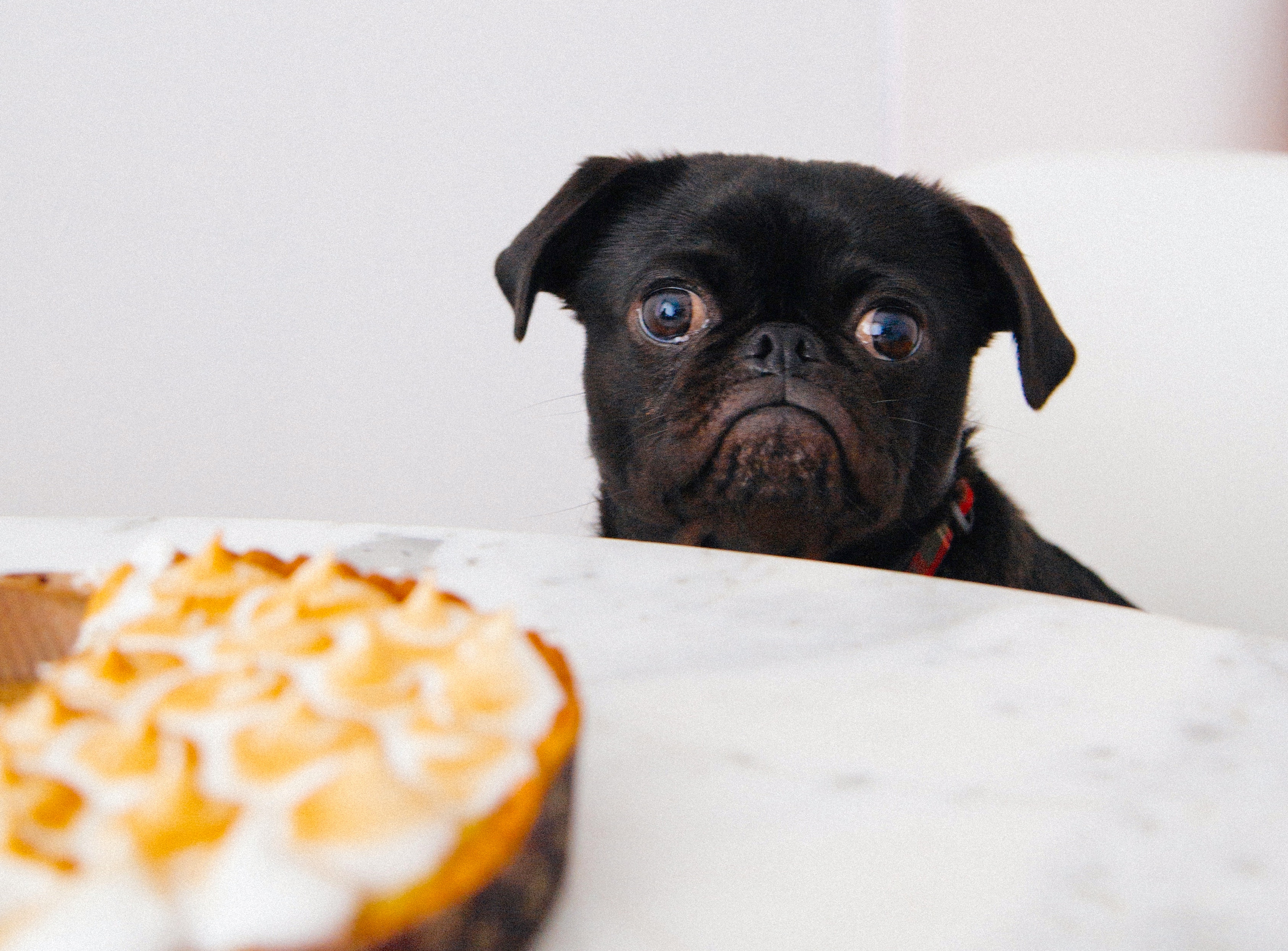 Mindfulness and Addiction